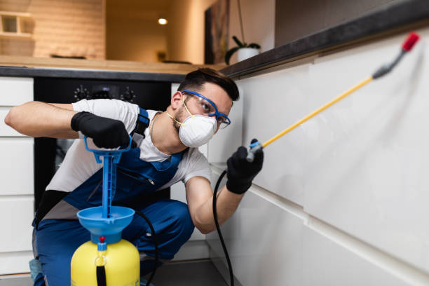 Best Mosquito Control Services  in Ajo, AZ