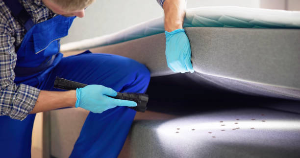Best Best Pest Control Near Me  in Ajo, AZ